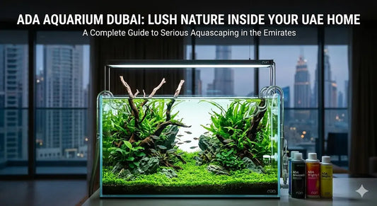 ADA Aquascaping in Dubai: Complete Guide to Planted Tanks