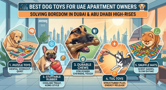 Best Dog Toys for Bored Dogs in Dubai Apartments