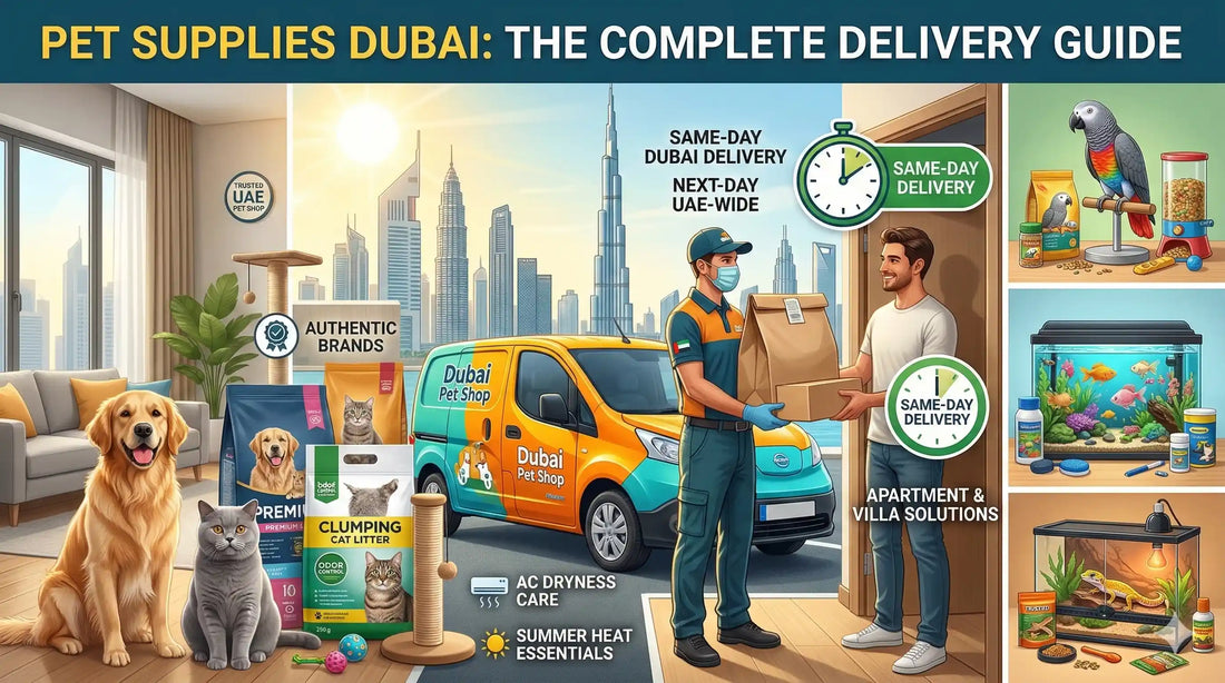 Pet Supplies Dubai: Same-Day Delivery Across UAE — Why Dubai Pet Shop is #1