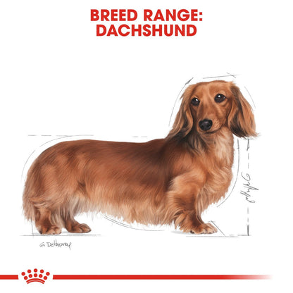 Breed Health Nutrition Dachshund Adult (WET FOOD - Pouches) 12 x 85g