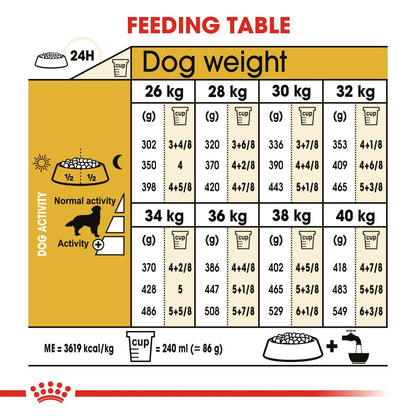 Nutritious kibble for Golden Retrievers by Royal Canin
