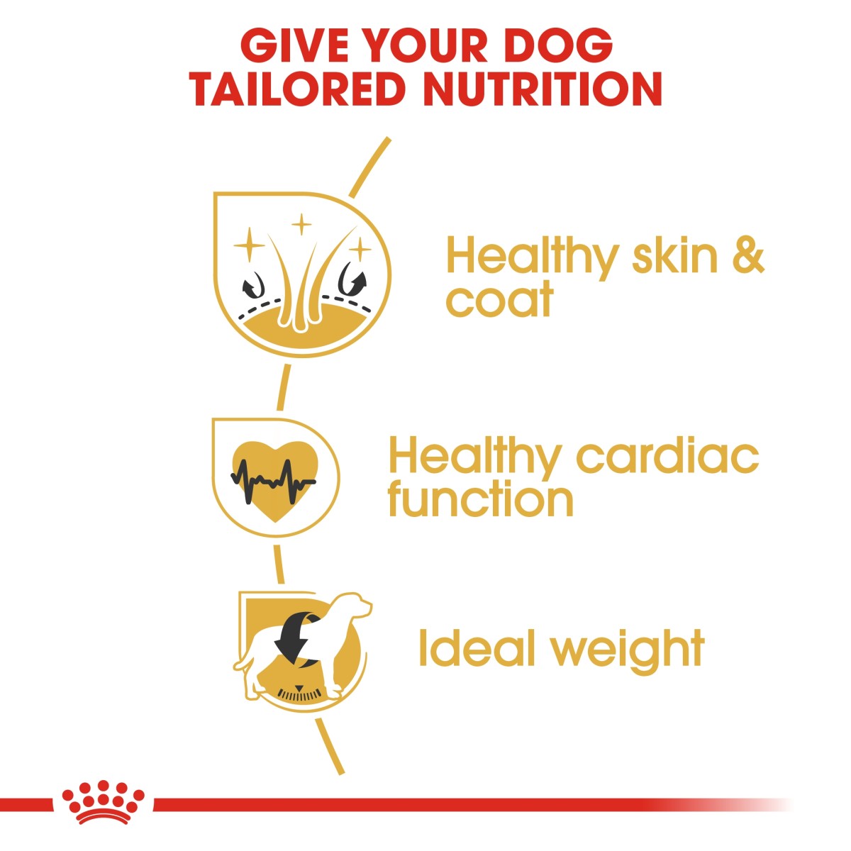 Breed Health Nutrition Golden Retriever Adult 12 KG