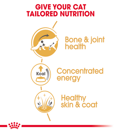 Feline Breed Nutrition Maine Coon (WET FOOD - Pouches) 12 x 85g