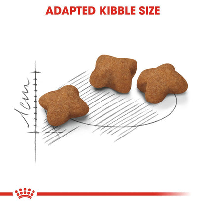 Feline Health Nutrition Kitten Sterilised 2 KG