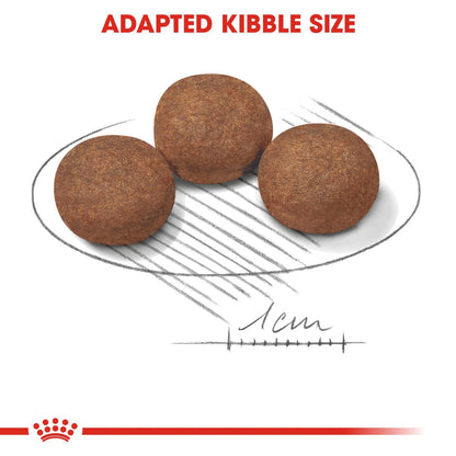 Size Health Nutrition Medium Puppy 4 KG