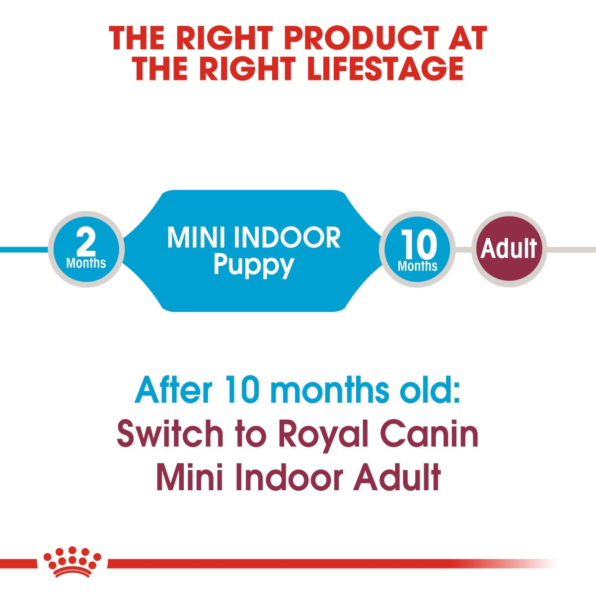 Size Health Nutrition Mini Indoor Puppy 1.5 KG