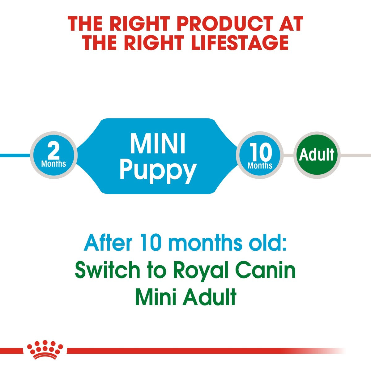 Size Health Nutrition Mini Puppy 8 KG